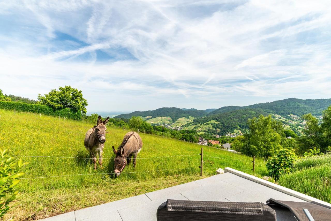 Merzel'S Schone Aussicht Bühlertal Eksteriør bilde