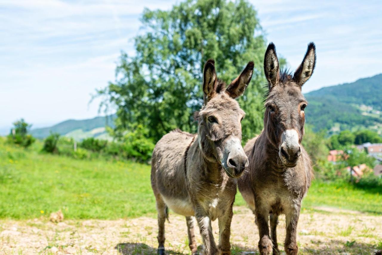 Merzel'S Schone Aussicht Bühlertal Eksteriør bilde