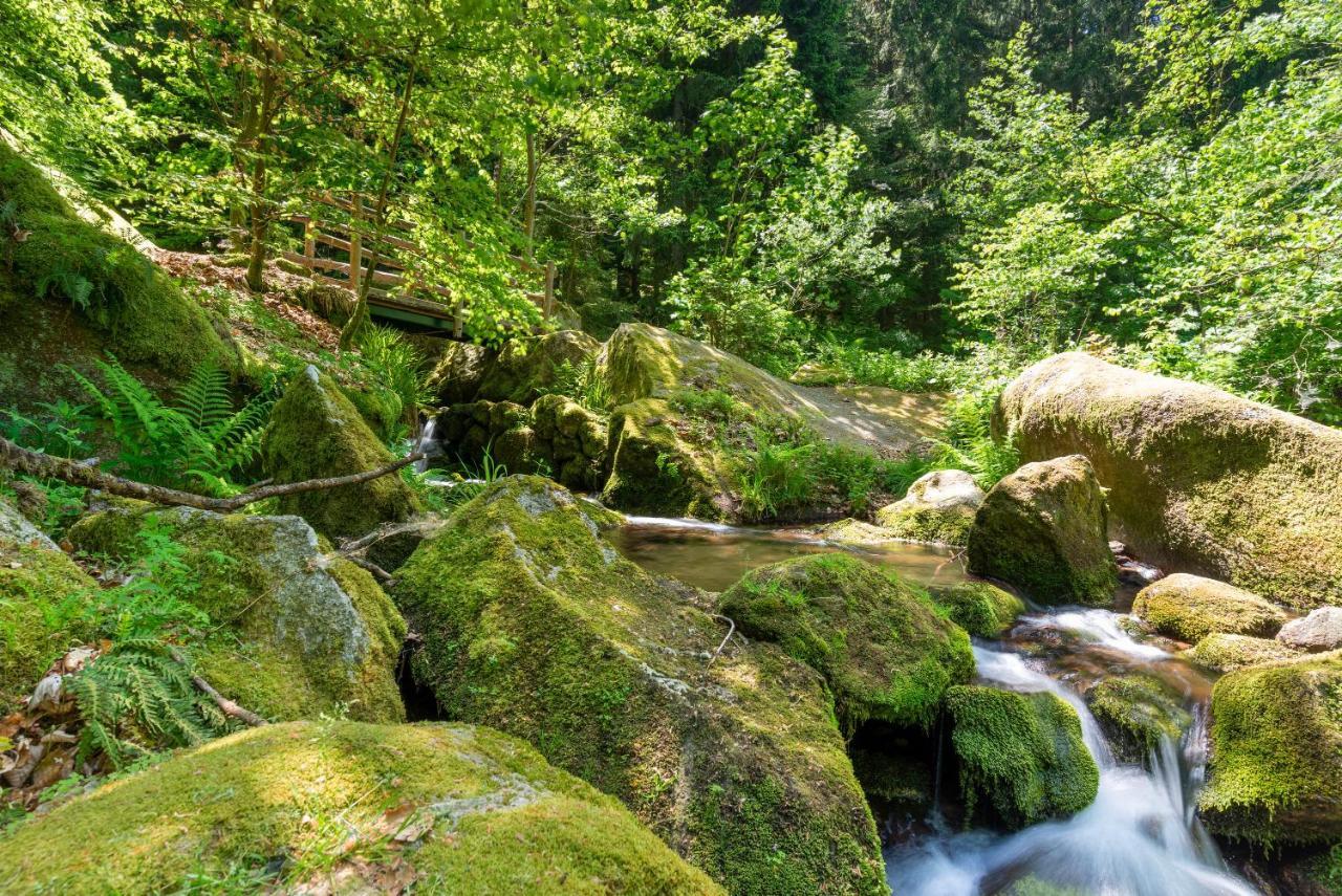 Merzel'S Schone Aussicht Bühlertal Eksteriør bilde